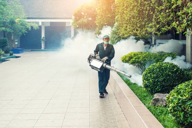 istockphoto 1003236362 612x612 1